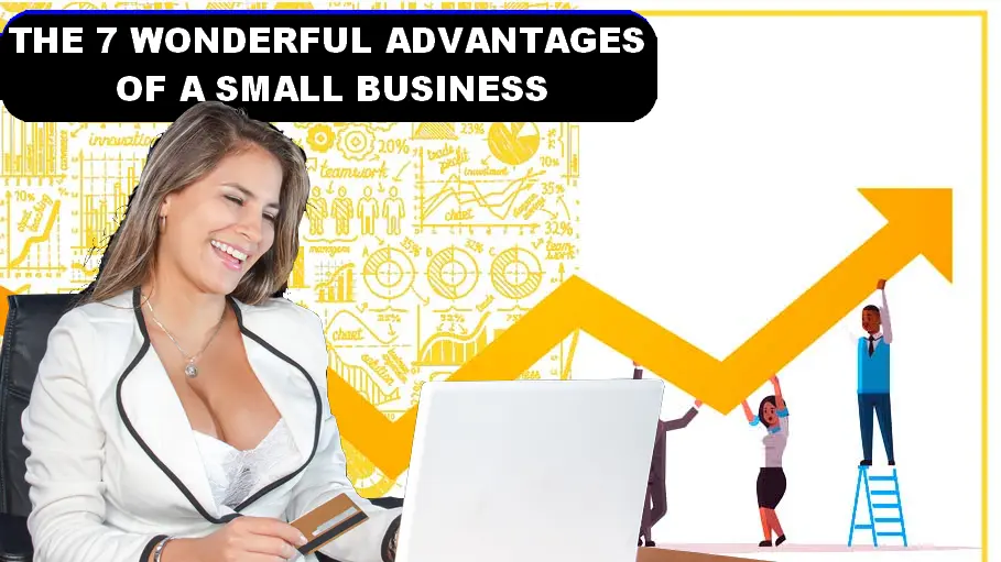 WONDERFUL ADVANTAGES OF A SMALL BUSINESS
