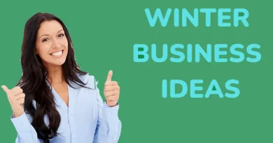 The best business ideas for the winter season